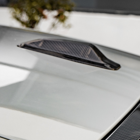 Carbon Accents