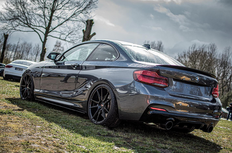 Carbon Accents