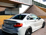 A gray BMW sports car is parked on a road beneath a large bridge with metal railings, near grassy embankments under a partly cloudy sky.