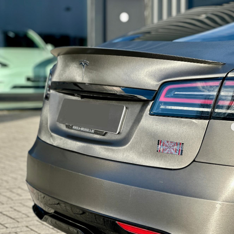 A car's rear with a smooth, metallic finish displays a Tesla logo and distinct linear taillights. The environment is an outdoor pavement area, with another vehicle partially visible.