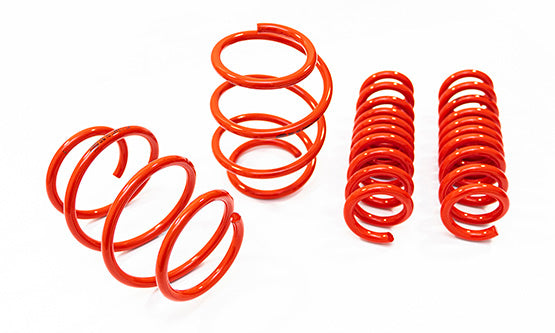 Transporter T6.1: Cobra Lowering Springs 40/40mm