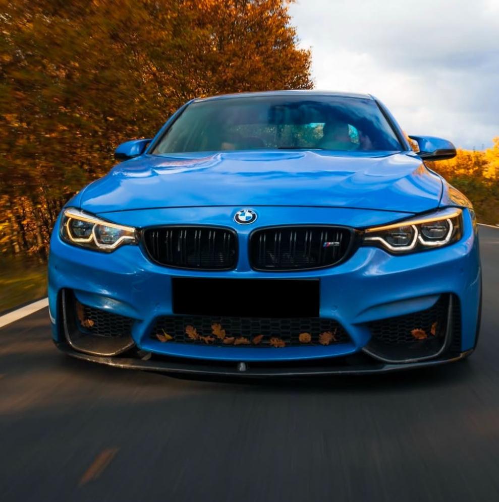 A blue sports car drives along a tree-lined road. The car's front grille bears the BMW logo, and fallen leaves are visible caught in the front bumper.