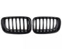 Two black car grilles with vertical slats are displayed side by side against a plain white background, showcasing a sleek automotive accessory design.
