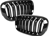 Two glossy black kidney-shaped car grilles with vertical slats are displayed against a white background. They are stacked, with one partially overlapping the other, suggesting automotive components.