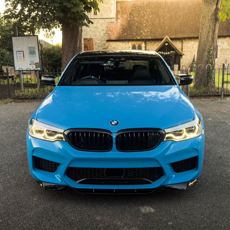 Carbon Accents