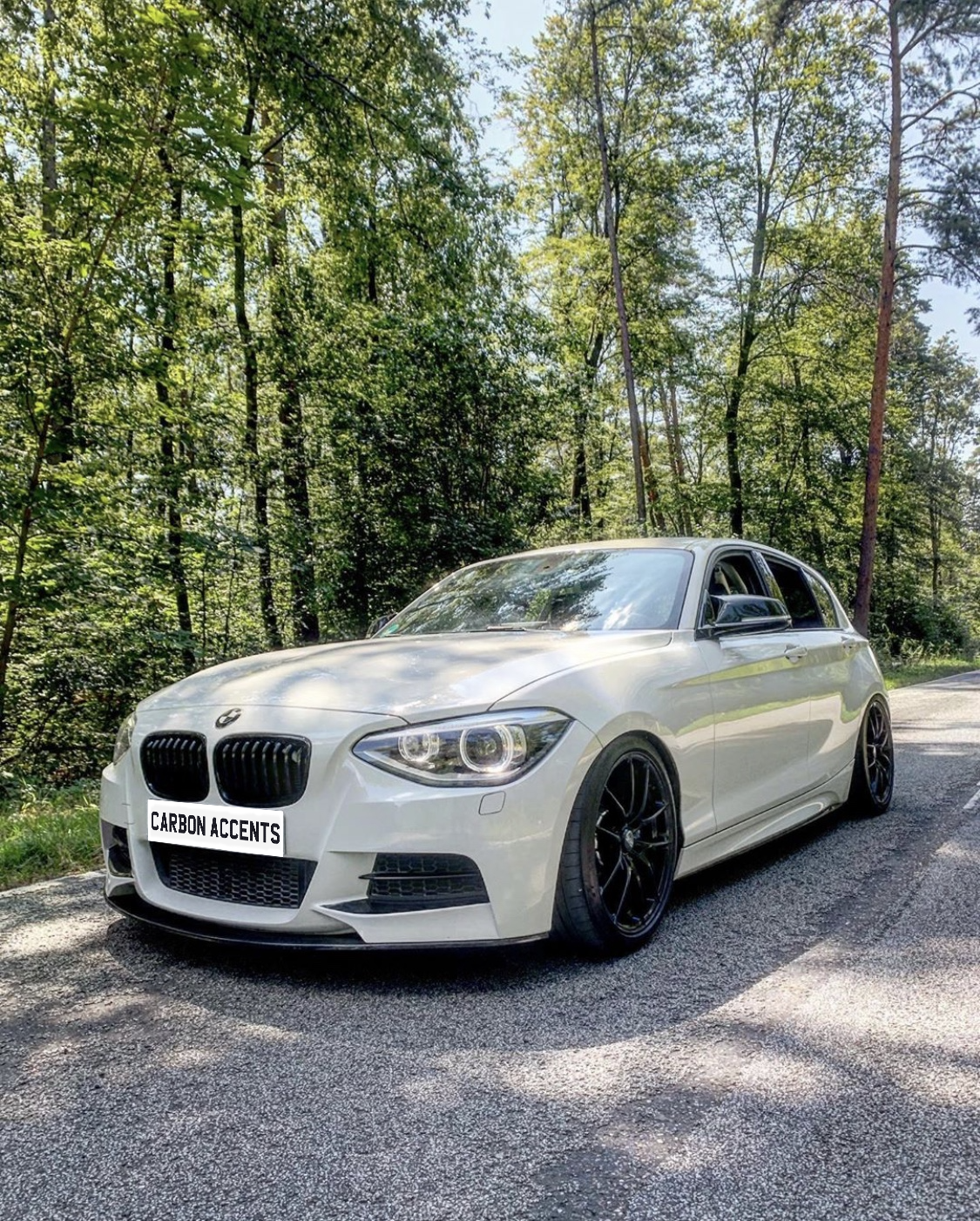 1 Series - F20/F21 Pre-Facelift: Gloss Black Single Slat Grill 11-14
