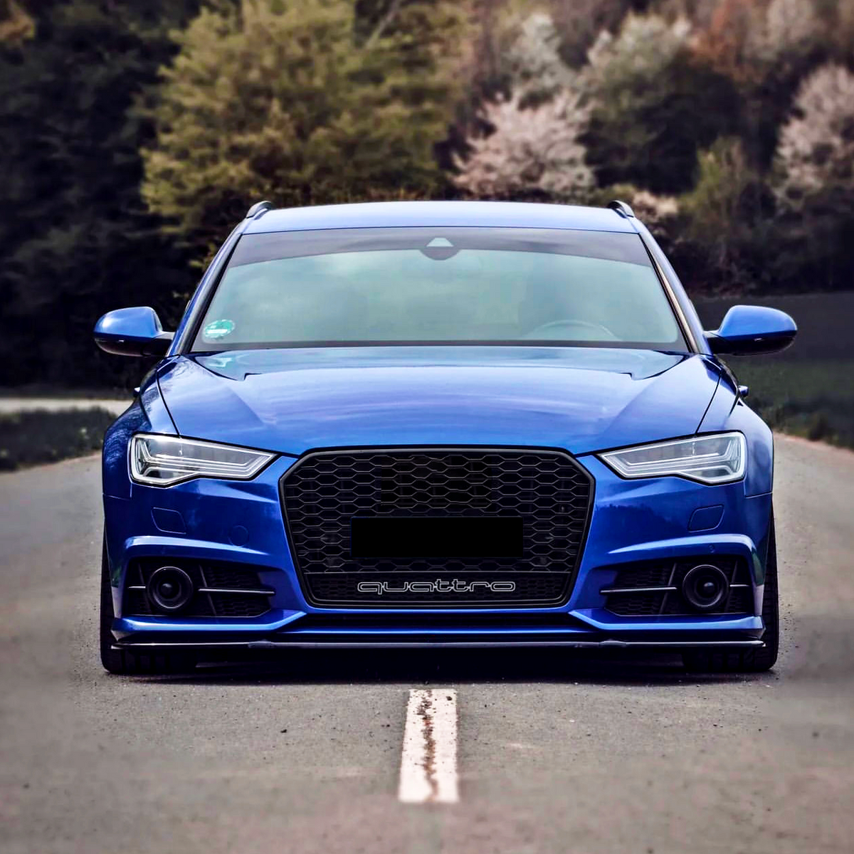 A blue car is parked on a road lined with trees. The car's grille displays the word "quattro."