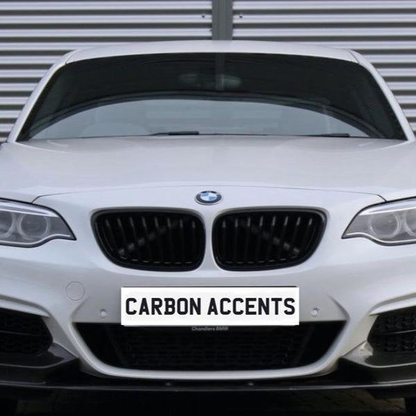 A white BMW car is parked with a focus on its front grille and headlights. The background features corrugated metal. The license plate displays the text "CARBON ACCENTS."
