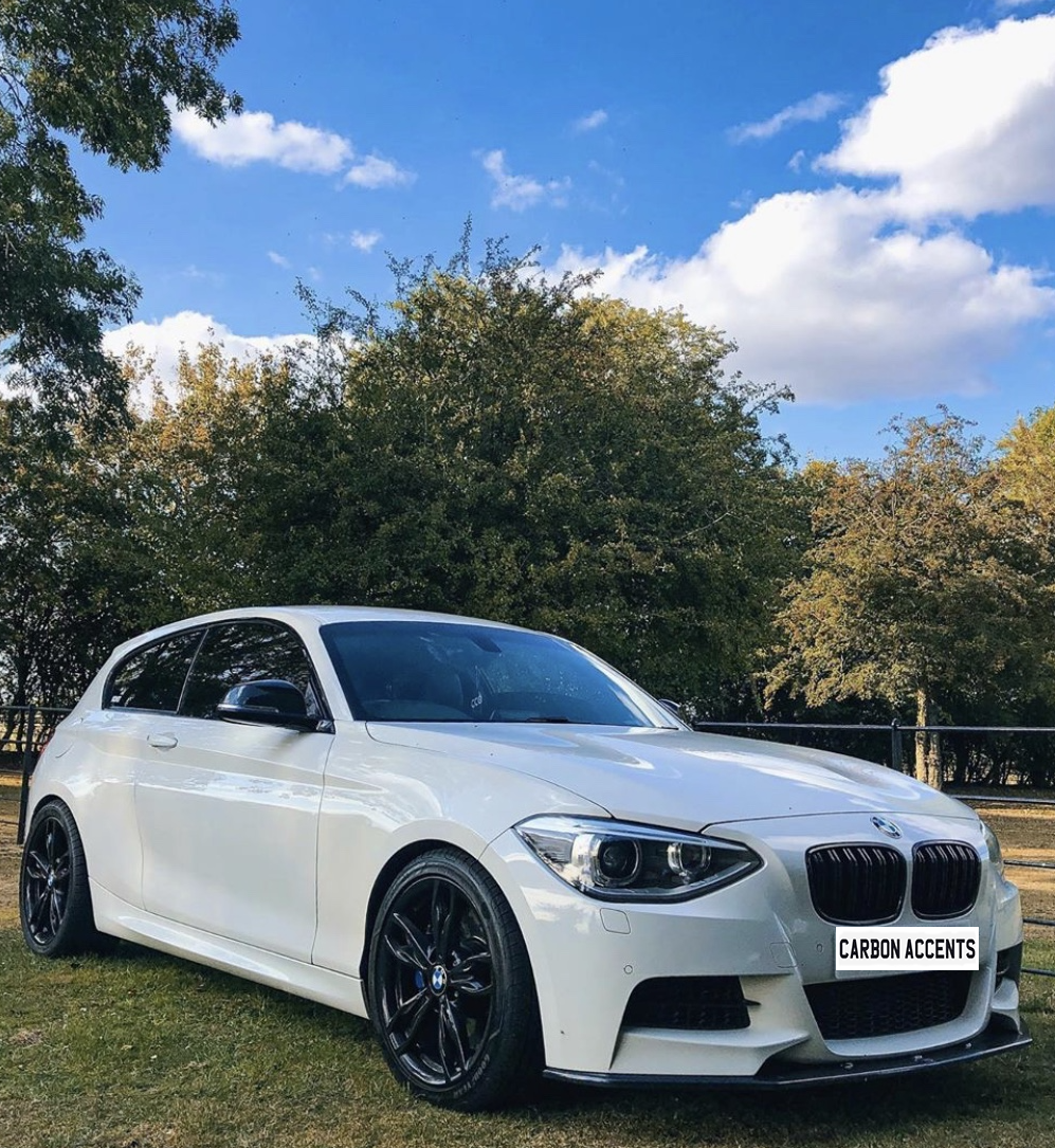 1 Series - F20/F21 Pre-Facelift: Gloss Black Double Slat Grill 11-14