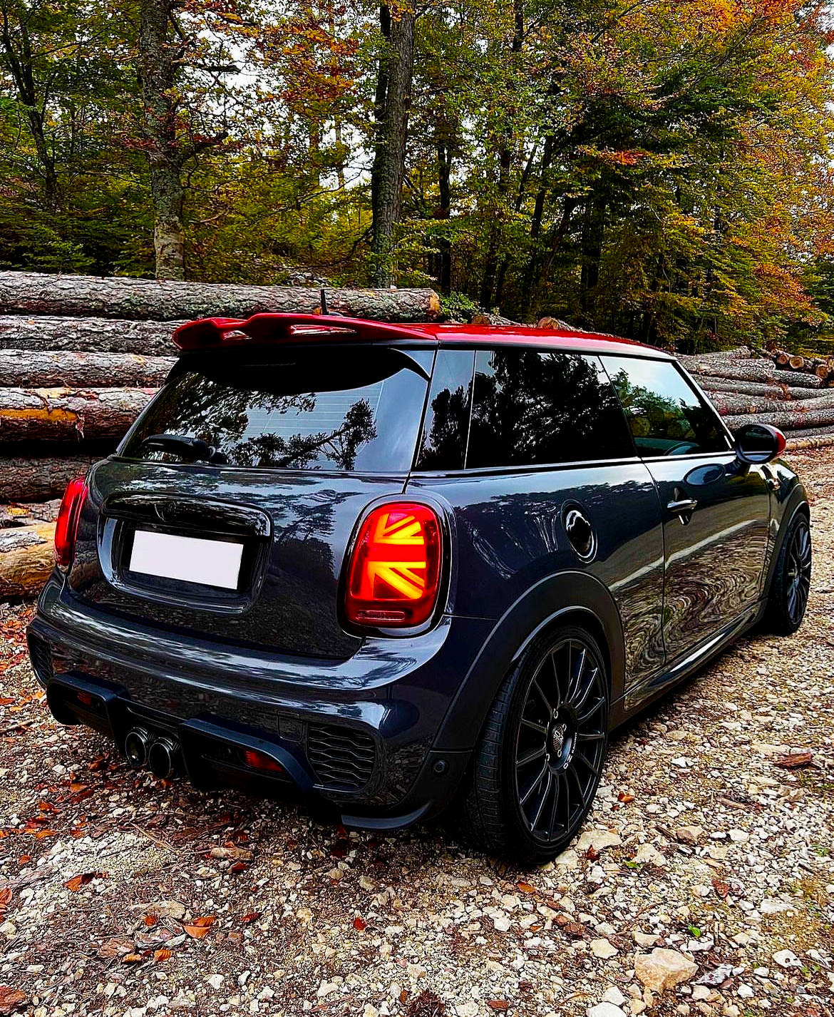 A dark-colored Mini Cooper with Union Jack tail lights is parked on a gravel path. Stacks of logs and autumn trees form the forested backdrop.