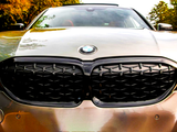 A car is parked, displaying a prominent front grille and BMW logo, surrounded by autumn trees.