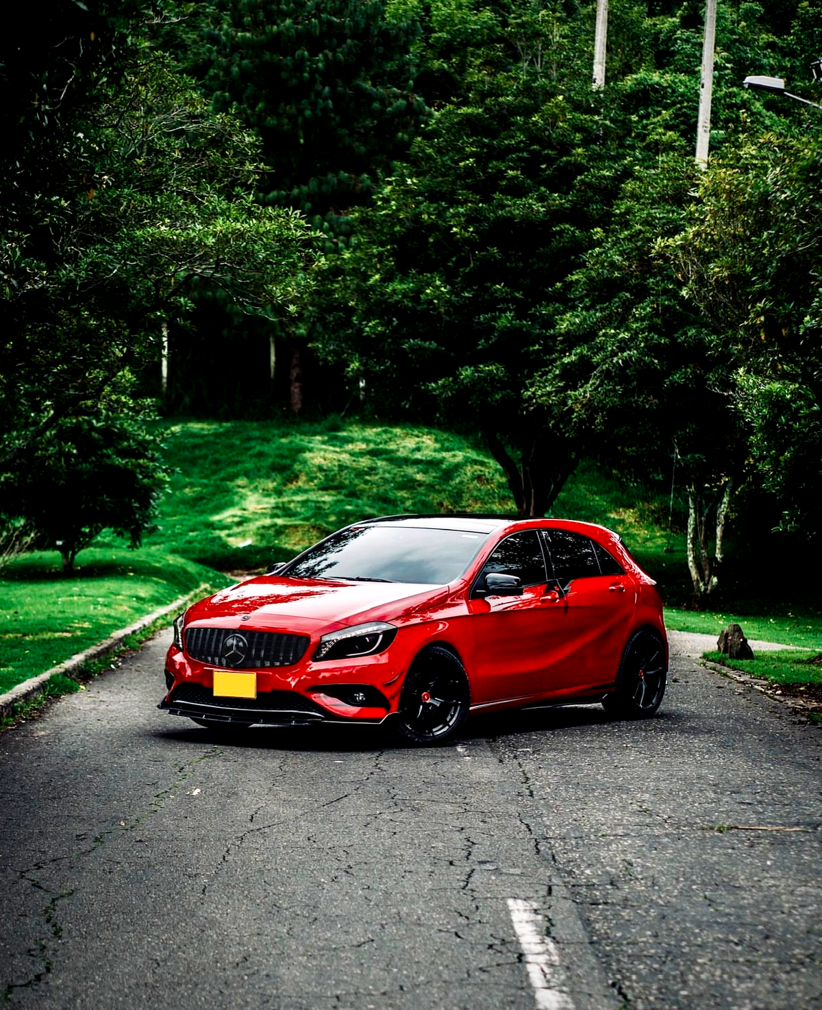 A red car is parked on an asphalt road, surrounded by lush green trees and grass, with a backdrop of greenery creating a serene and natural setting.