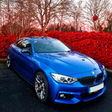4 Series - F32/F33/F36: Gloss Black Double Slat Grill 14-20