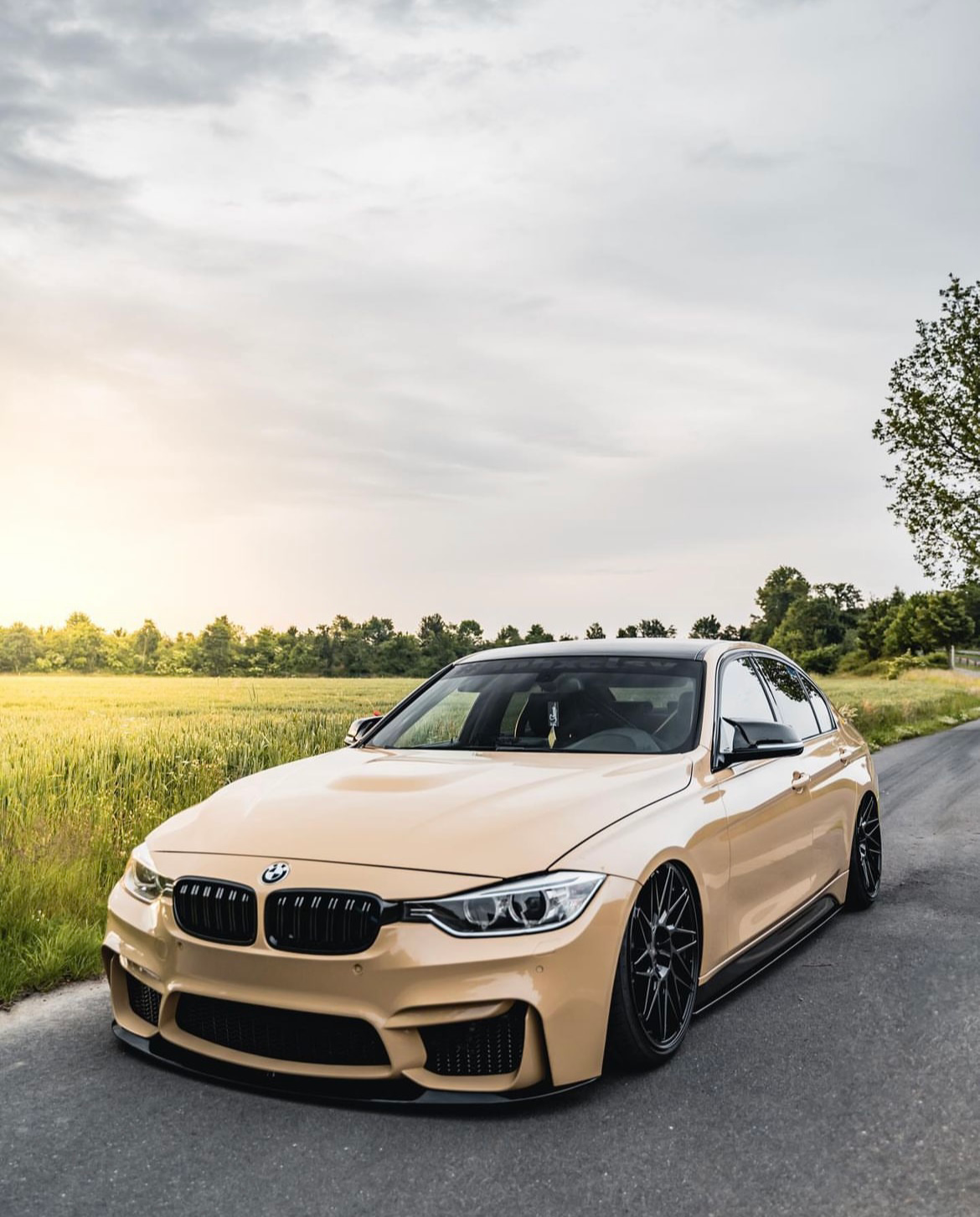 A beige sports car is parked on a paved road, surrounded by green fields and trees, under a cloudy sky, with sunlight casting a warm glow.