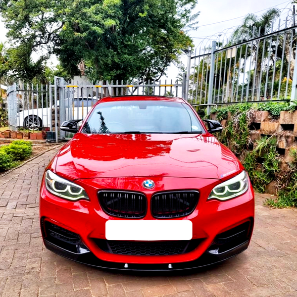 A red BMW car is parked on a brick driveway, surrounded by greenery and enclosed by a metal fence, with vibrant daytime lighting.