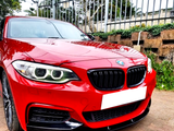 A sleek red BMW car is parked on a paved area, with greenery and a metal fence in the background. The headlights are prominently visible, giving a striking front view.