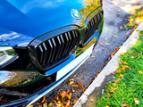 A blue car with a BMW emblem parked on a street, surrounded by autumn leaves and green grass, showcasing its black grille and headlight.