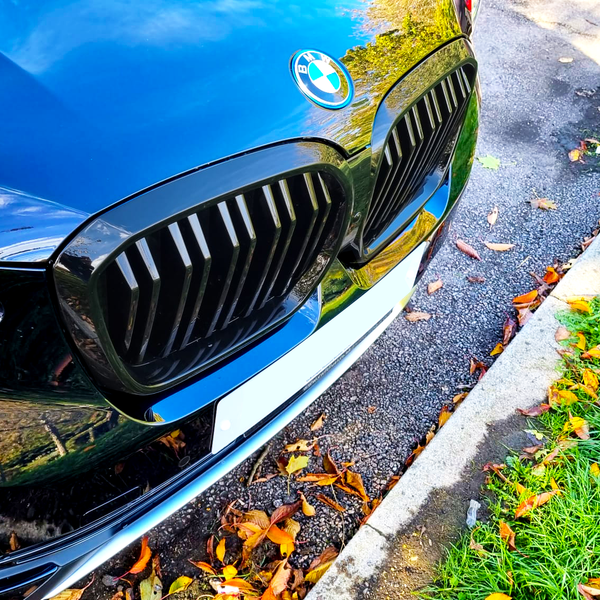 A blue car with a BMW emblem parked on a street, surrounded by autumn leaves and green grass, showcasing its black grille and headlight.